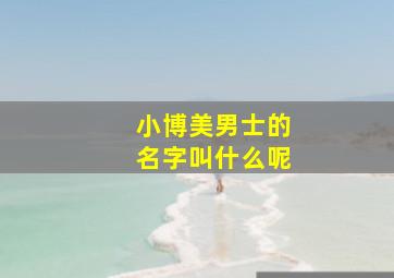 小博美男士的名字叫什么呢