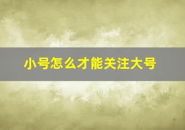 小号怎么才能关注大号