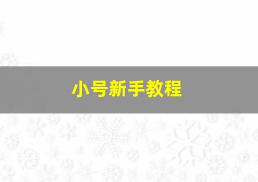 小号新手教程