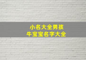 小名大全男孩牛宝宝名字大全