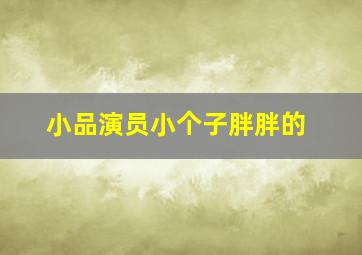 小品演员小个子胖胖的