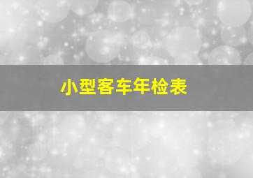 小型客车年检表