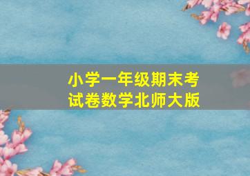 小学一年级期末考试卷数学北师大版