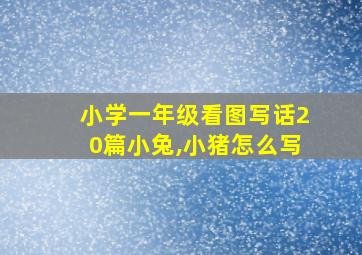 小学一年级看图写话20篇小兔,小猪怎么写