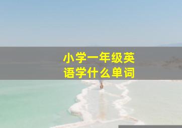 小学一年级英语学什么单词