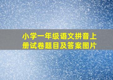 小学一年级语文拼音上册试卷题目及答案图片