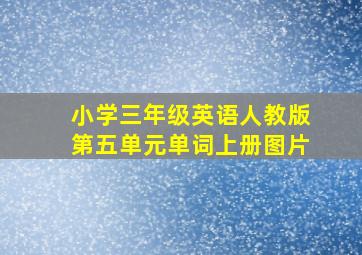 小学三年级英语人教版第五单元单词上册图片