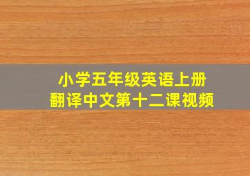 小学五年级英语上册翻译中文第十二课视频