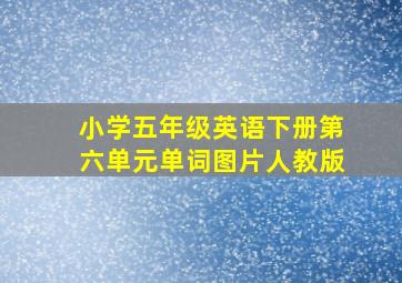 小学五年级英语下册第六单元单词图片人教版