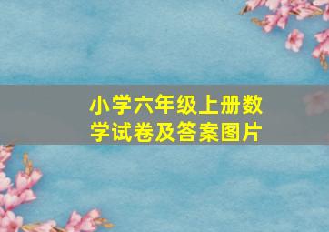 小学六年级上册数学试卷及答案图片