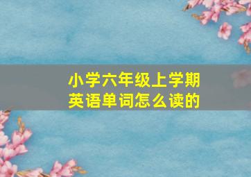 小学六年级上学期英语单词怎么读的