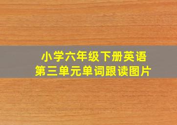 小学六年级下册英语第三单元单词跟读图片