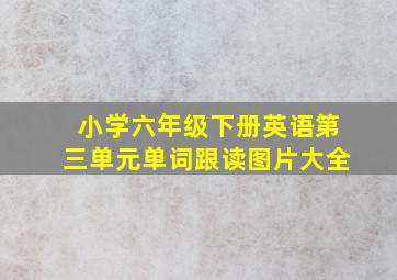 小学六年级下册英语第三单元单词跟读图片大全