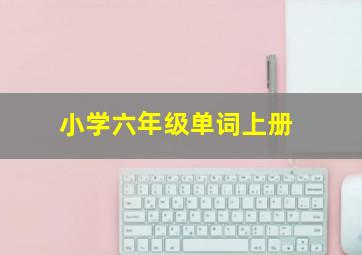 小学六年级单词上册