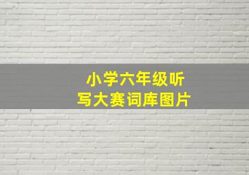 小学六年级听写大赛词库图片