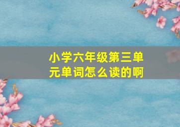 小学六年级第三单元单词怎么读的啊