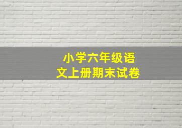 小学六年级语文上册期末试卷