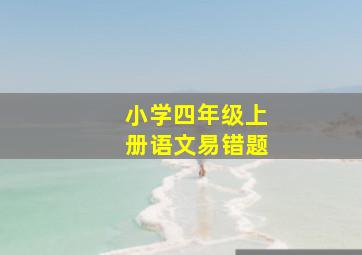 小学四年级上册语文易错题