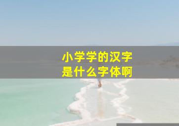 小学学的汉字是什么字体啊