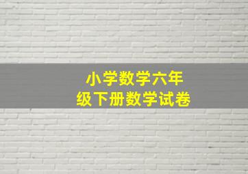 小学数学六年级下册数学试卷