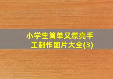 小学生简单又漂亮手工制作图片大全(3)