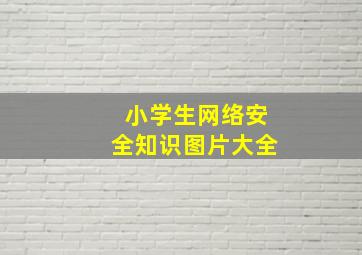 小学生网络安全知识图片大全