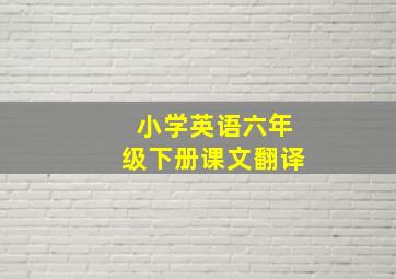 小学英语六年级下册课文翻译