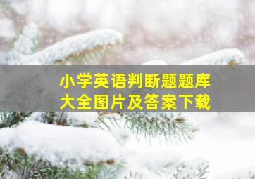 小学英语判断题题库大全图片及答案下载