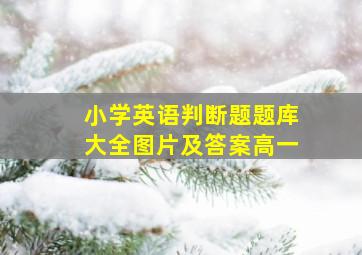 小学英语判断题题库大全图片及答案高一