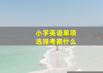 小学英语单项选择考察什么