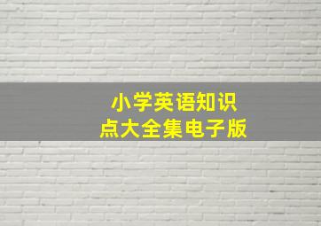 小学英语知识点大全集电子版