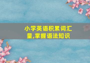 小学英语积累词汇量,掌握语法知识