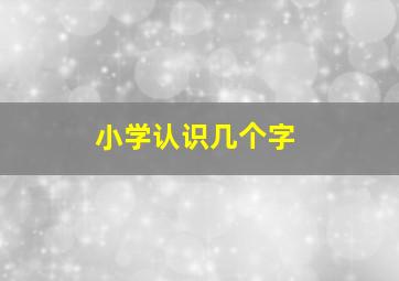 小学认识几个字