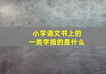 小学语文书上的一类字指的是什么