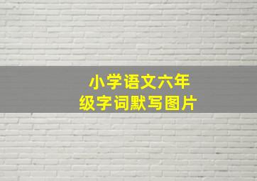 小学语文六年级字词默写图片