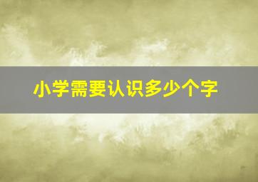 小学需要认识多少个字