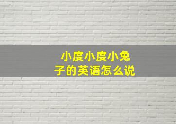 小度小度小兔子的英语怎么说