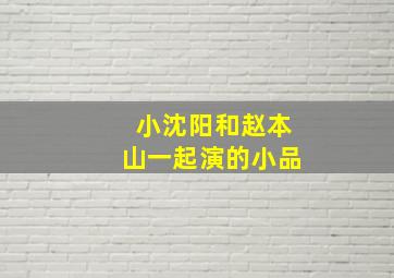 小沈阳和赵本山一起演的小品