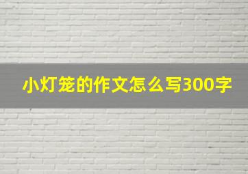 小灯笼的作文怎么写300字