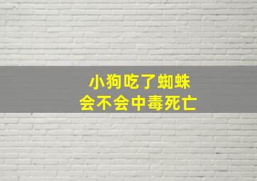 小狗吃了蜘蛛会不会中毒死亡