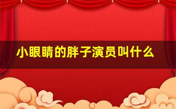 小眼睛的胖子演员叫什么