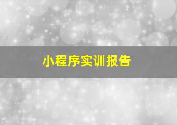 小程序实训报告