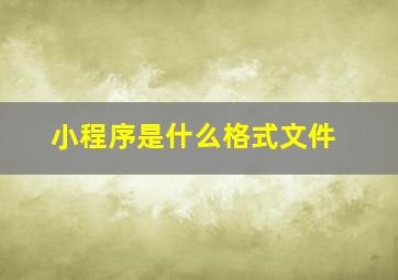 小程序是什么格式文件