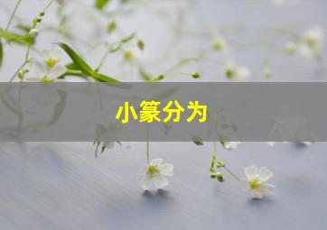 小篆分为