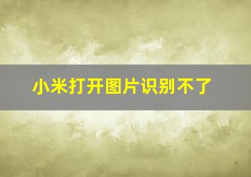 小米打开图片识别不了