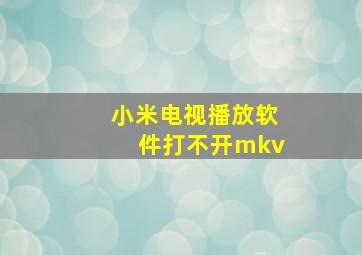 小米电视播放软件打不开mkv