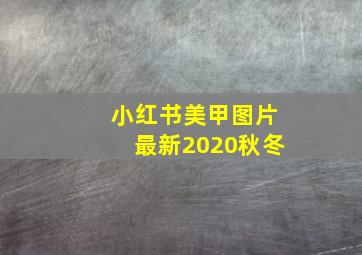 小红书美甲图片最新2020秋冬