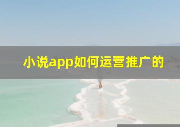 小说app如何运营推广的