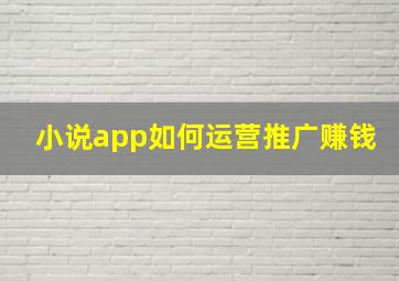 小说app如何运营推广赚钱