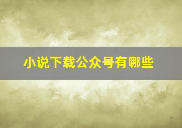 小说下载公众号有哪些